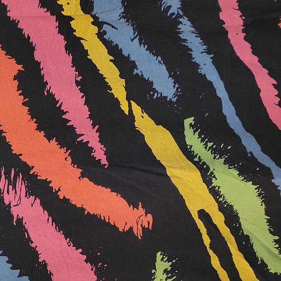 Like New Rainbow Zebra Striped V-Neck T-Shirt - Picture 2 of 5